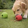Balle Distributeur de Friandises pour Chien - 7 cm