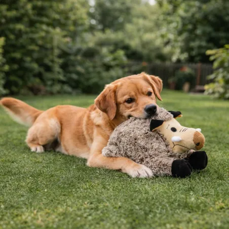Jeu peluche pour chien Sanglier 25 cm