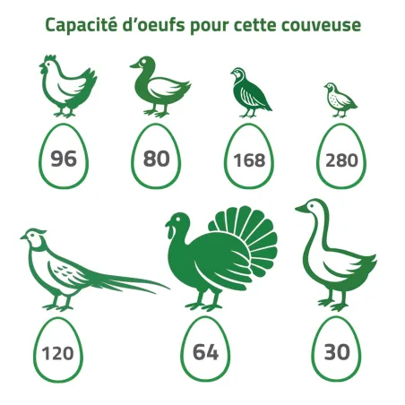 Couveuse Novital Covatutto 108 - Incubation semi-auto
