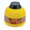 Couveuse manuelle 12 œufs pour débutants