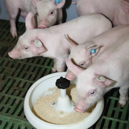 Mangeoire plastique pour porcelets 2,5L - Diamètre 29 cm