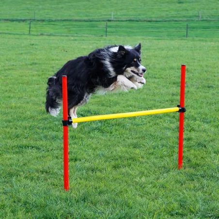 Kit agilité chien 3-en-1 : anneau, barre et slalom réglables