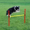 Kit agilité chien 3-en-1 : anneau, barre et slalom réglables