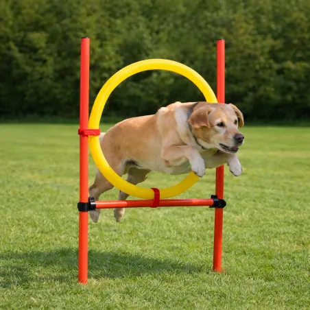 Kit agilité chien 3-en-1 : anneau, barre et slalom réglables