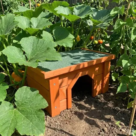 Nichoir universel en pin traité pour petits animaux