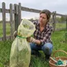 Gaine forçage jaune anti-UV pour tomates et légumes