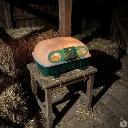 Couveuse 24 œufs Egg Tech 24 - River Systems