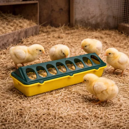 Mangeoire plastique 30cm pour volailles et poussins