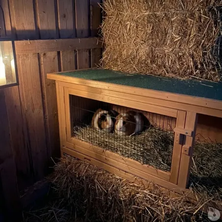 Abri FRED pour rongeurs et petits animaux 100x45cm