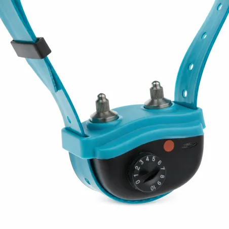 Collier anti-aboiements Canicalm Excel pour chiens têtus