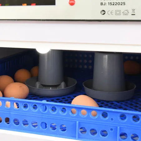 Couveuse PRO Couvitech® 68 œufs - Automatisée & Haute Performance