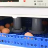 Couveuse PRO Couvitech® 68 œufs - Automatisée & Haute Performance