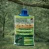 Lot de 3 poches-pièges à mouches écologiques