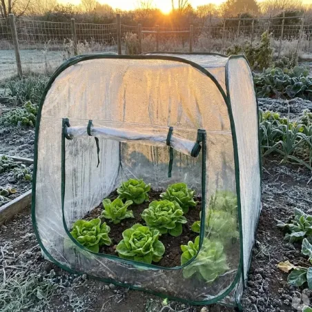 Serre pop-up 100 cm³ pour jardin et cultures protégées