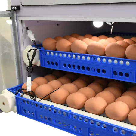 Couveuse PRO Couvitech® 136 œufs - Incubation pro