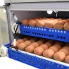 Couveuse PRO Couvitech® 136 œufs - Incubation pro