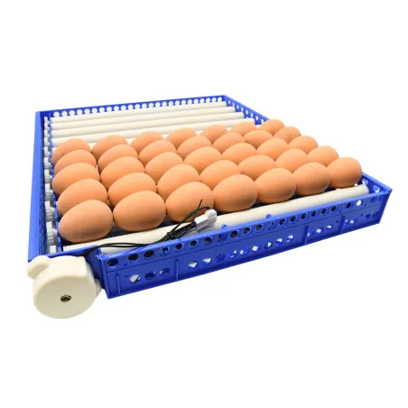 Couveuse PRO Couvitech® 136 œufs - Incubation pro