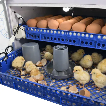 Couveuse PRO Couvitech® 136 œufs - Incubation pro