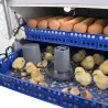 Couveuse PRO Couvitech® 136 œufs - Incubation pro
