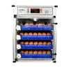 Couveuse PRO Couvitech® 272 œufs - Automatisée & Haute Performance