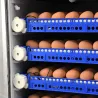 Couveuse PRO Couvitech® 272 œufs - Automatisée & Haute Performance
