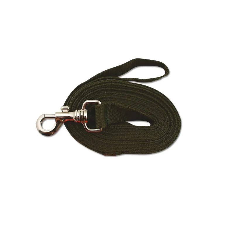Longe extensible 5m pour chien - Couleur kaki