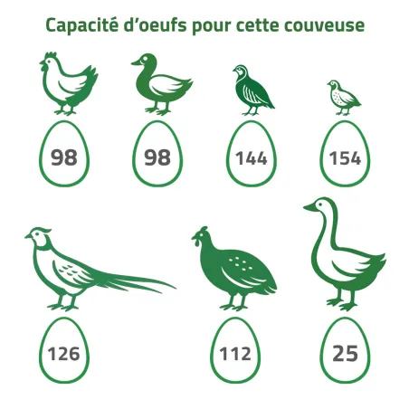 Couveuse évolutive 147 œufs - caille à oie - MAINO
