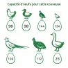 Couveuse évolutive 147 œufs - caille à oie - MAINO