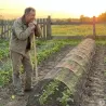 Tunnel maillé 3m pour protéger votre potager