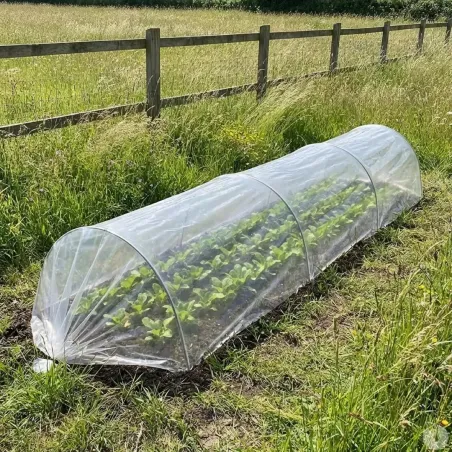 Tunnel de forçage 3m - Serre potagère légère