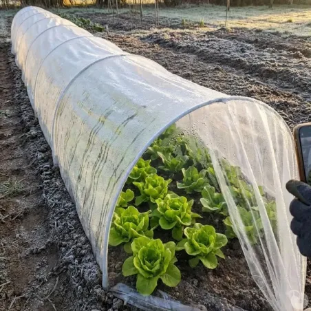Tunnel de forçage 3m - Serre potagère légère