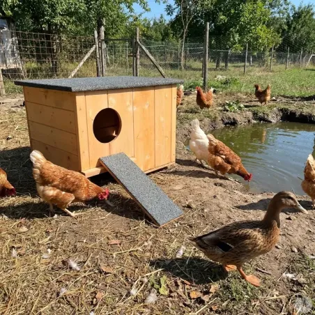 Nichoir chicane bois pour canards d'ornement 45x27x33 cm