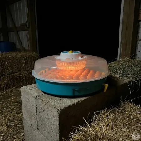 Couveuse semi-auto 51 œufs Puisor IO-203 - Éclosion facile