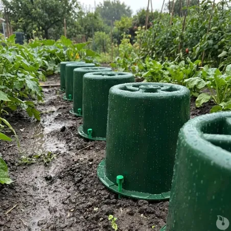 Cloche à blanchir Modul'O avec 2 piquets inclus