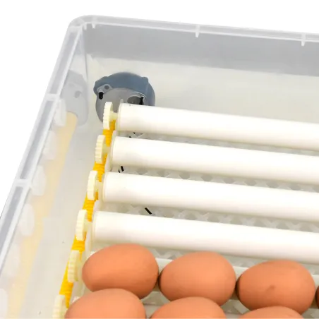 Couveuse auto 64 œufs Couvitech® - Incubation pro