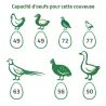 Couveuse évolutive 147 œufs - caille à oie - kit complet