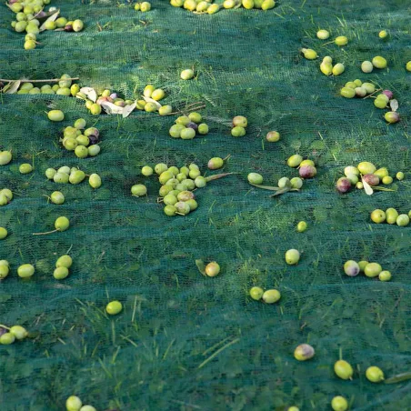 Filet de récolte 8x8m maille 5mm - Protection cultures HD