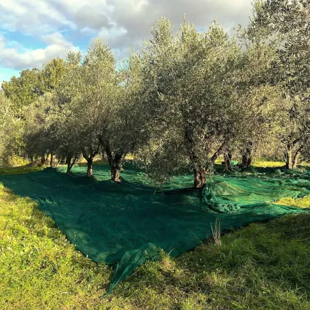 Filet de récolte 8x8m maille 5mm - Protection cultures HD