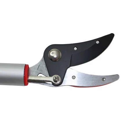 Sécateur télescopique 2,3m - Coupe branches en hauteur facile