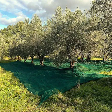 Filet récolte 12x12m maille 5mm - Résistant et léger 50g/m²