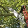 Échenilloir Strong&Easy - Télescopique 4,25 m pour branches