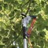 Échenilloir Strong&Easy - Télescopique 4,25 m pour branches