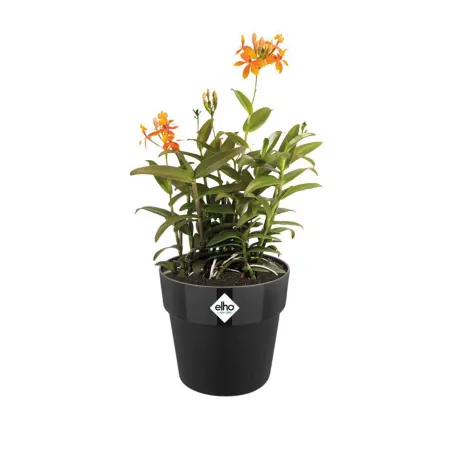 Pot Elho Ø22cm noir recyclé avec réservoir d'eau intégré