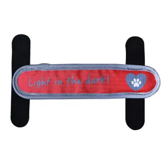 Lanière LED pour collier - 3 modes éclairage sécurisé