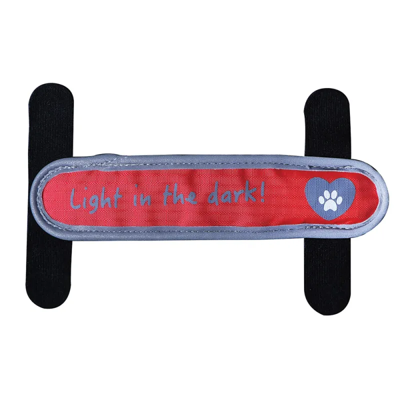 Lanière LED pour collier - 3 modes éclairage sécurisé