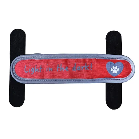 Lanière LED pour collier - 3 modes éclairage sécurisé