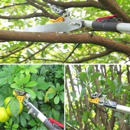 Sécateur 2-en-1 télescopique coupe & scie jusqu'à 4m