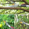Sécateur 2-en-1 télescopique coupe & scie jusqu'à 4m