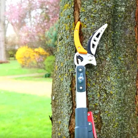 Sécateur 2-en-1 télescopique coupe & scie jusqu'à 4m