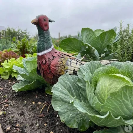 Faisan décoratif en métal - 58x20x40 cm élégant